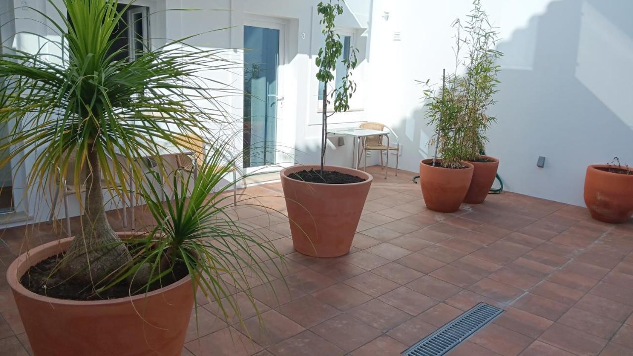 Apartamentos Naturalis Vila Nova de Milfontes Eksteriør billede
