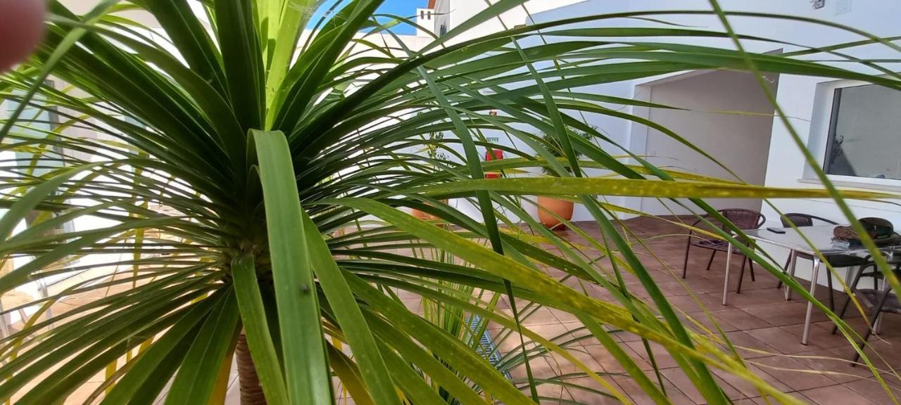 Apartamentos Naturalis Vila Nova de Milfontes Eksteriør billede